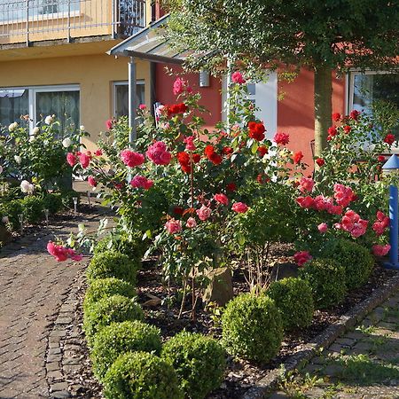 Ferienhaus Schloss-Garten Kapellen-Drusweiler ภายนอก รูปภาพ