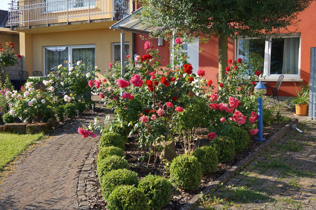 Ferienhaus Schloss-Garten Kapellen-Drusweiler ภายนอก รูปภาพ